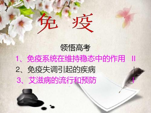 人体免疫系统与稳态