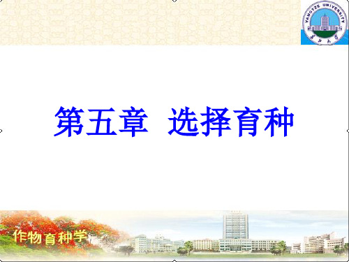 第五章选择育种