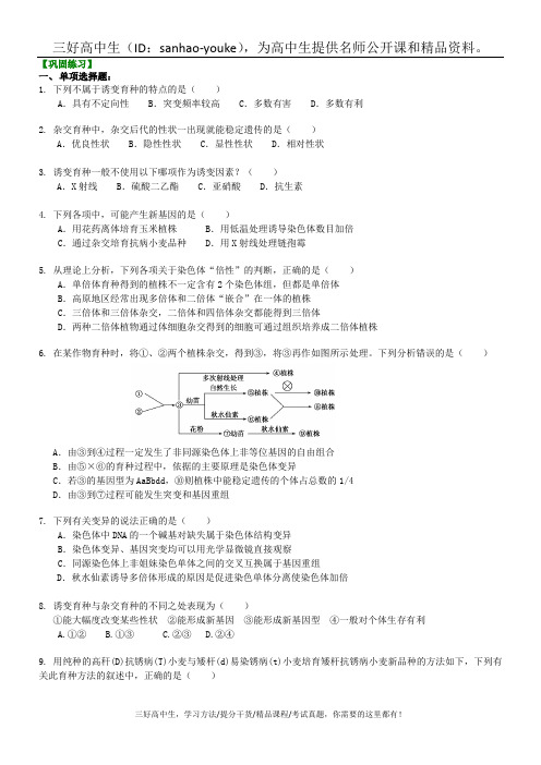 29 育种巩固练习-高中生物必修二