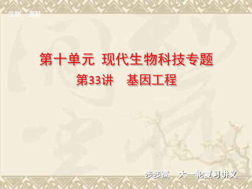【步步高】高考生物一轮复习 第十单元 第33讲 基因工程课件 浙科版