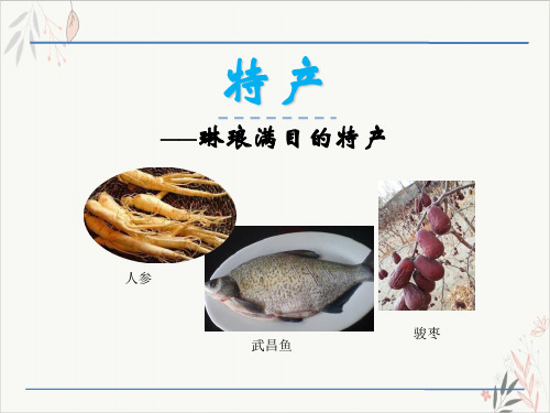 特产ppt课件(完美版)