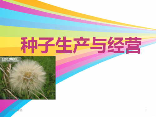 种子生产与经营PPT课件