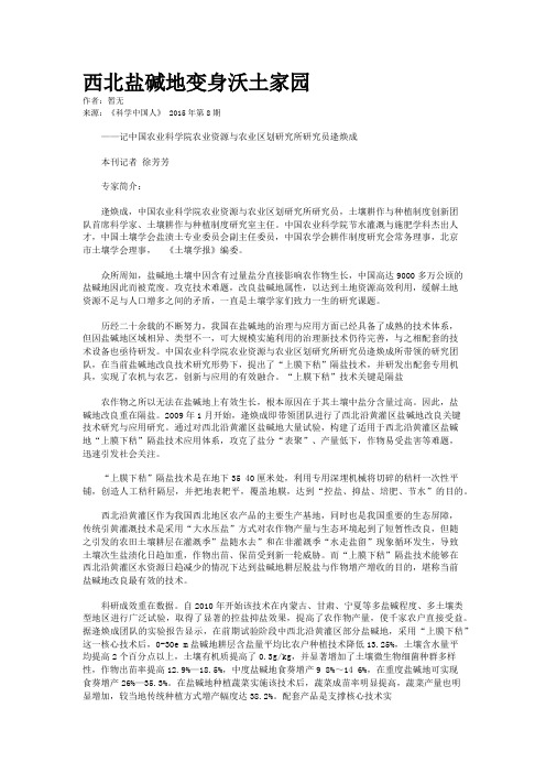 西北盐碱地变身沃土家园