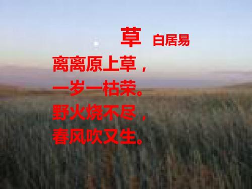 六年级下册语文课件-野草_北师大版