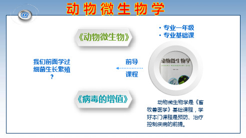 病毒的增值培养 (2)