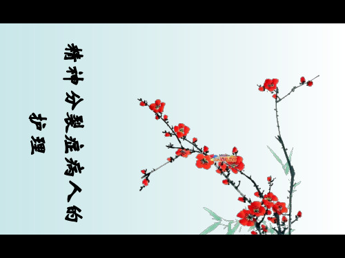 七精神分裂症病人的护理精品PPT课件