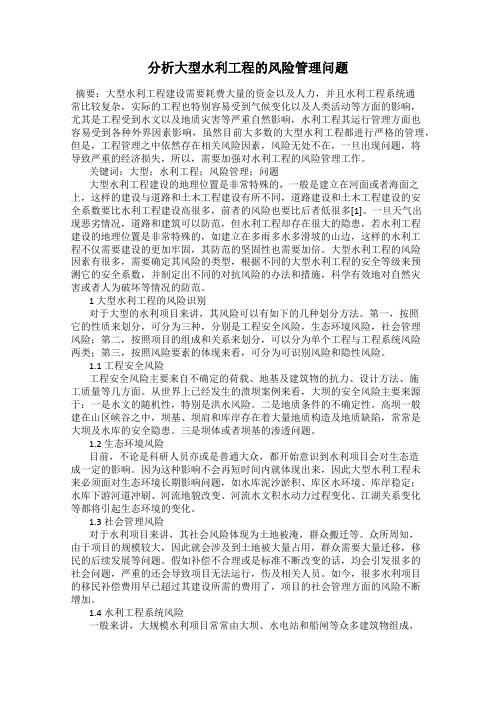 分析大型水利工程的风险管理问题