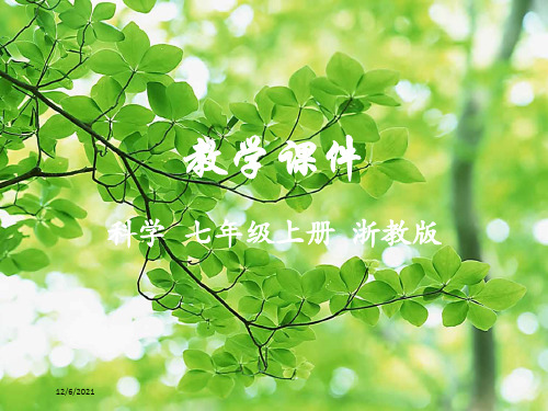 七年级科学上册 第1章 科学入门 第5节 科学探究教学课件浙教级上册自然科学课件