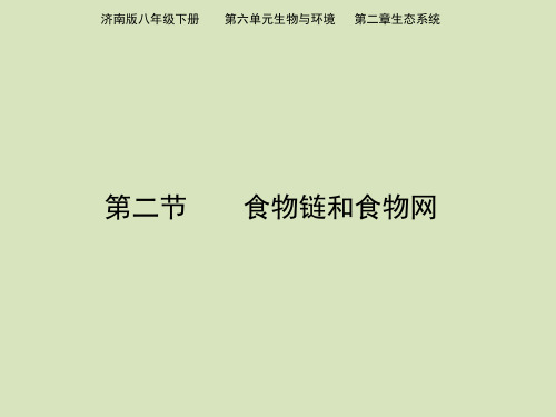 2018济南版生物八年级下册6.2.2《食物链和食物网》ppt课件2