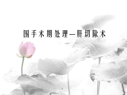 围手术期肝损伤