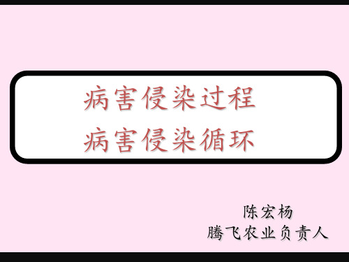 侵染过程及循环