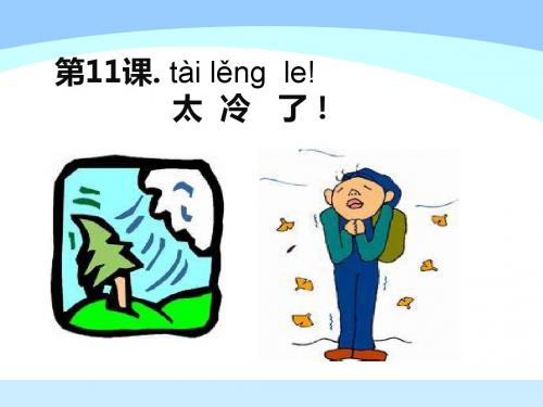 体验汉语unit11太冷了