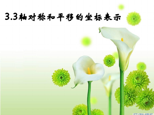 湘教版八年级下册数学：3.3 用坐标表示一次平移  课件(共19张PPT)