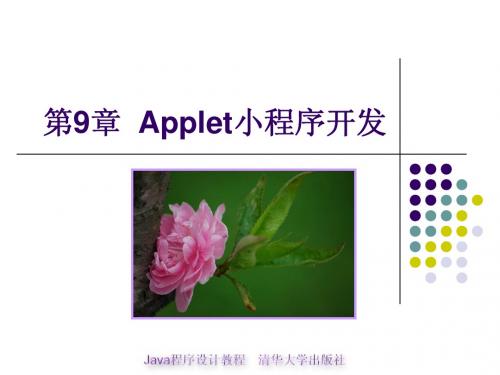 Java程序设计教程第9章-Applet简明教程PPT课件