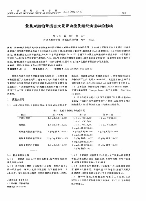 黄芪对顺铂肾损害大鼠肾功能及组织病理学的影响
