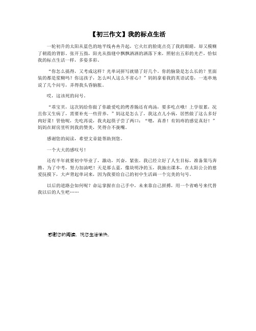【初三作文】我的标点生活