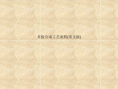 多肽合成工艺流程(英文版)