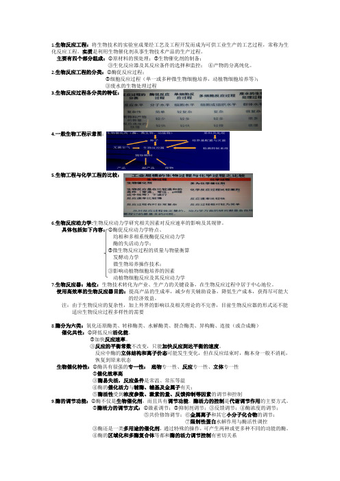 生物反应工程第1章