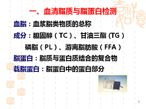 血脂、血糖检查PPT课件
