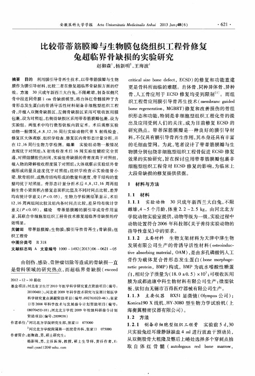 比较带蒂筋膜瓣与生物膜包绕组织工程骨修复兔超临界骨缺损的实验研究