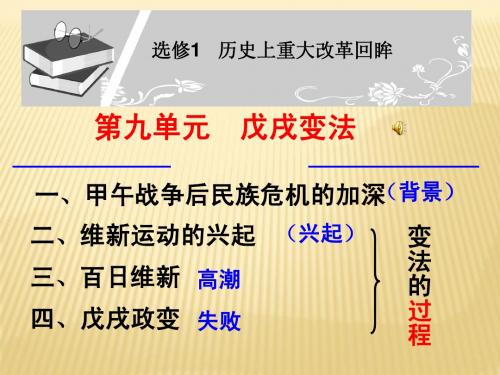 2014-2015学年高二历史课件：《王安石变法的主要内容》(3)(人教版选修1)