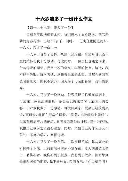 十六岁我多了一份什么作文