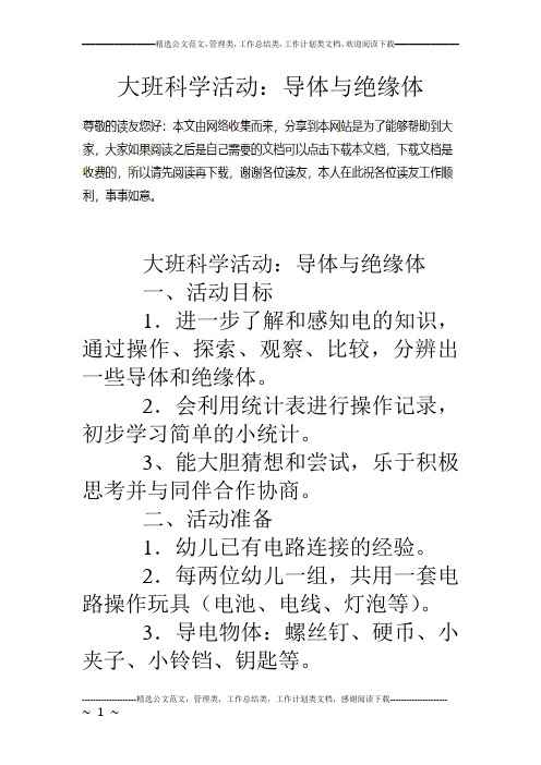 大班科学活动：导体与绝缘体