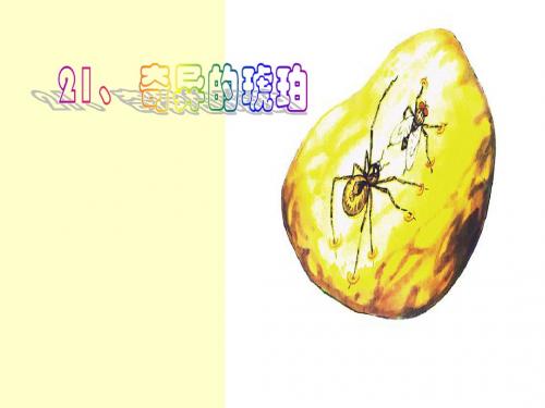 《奇异的琥珀》_六年级语文课件