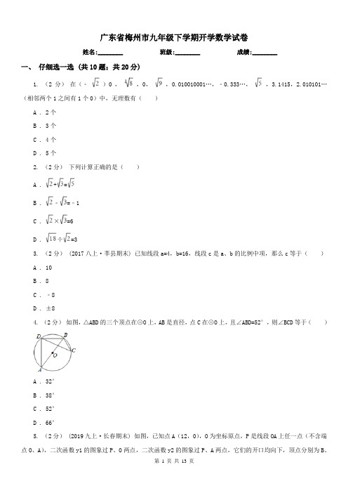 广东省梅州市九年级下学期开学数学试卷
