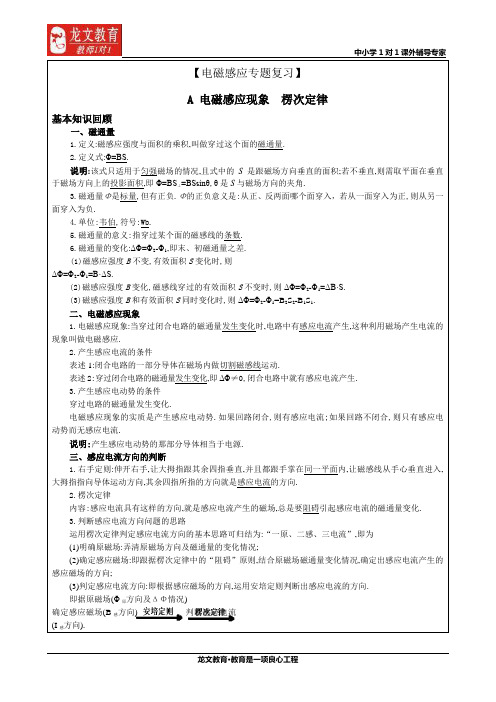 电磁感应专题系统复习教案讲义