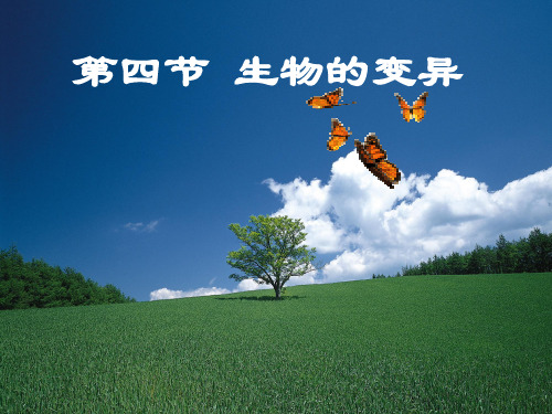 高中生物必修三全套课件
