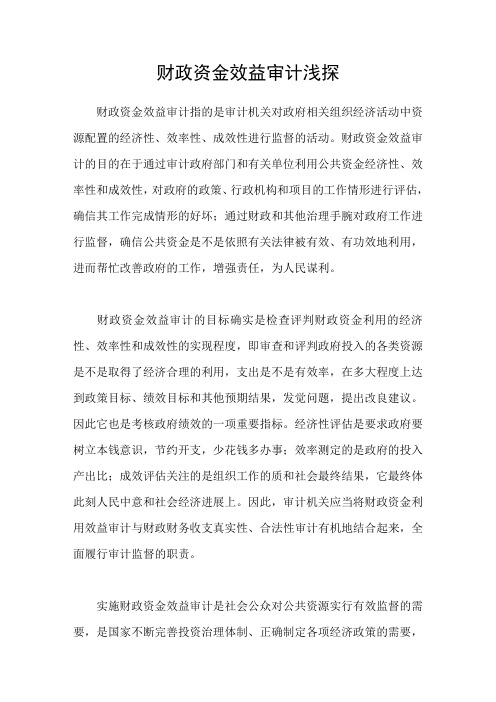 财政资金效益审计浅探