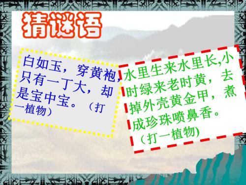星罗棋布的氏族聚落ppt13 北师大版