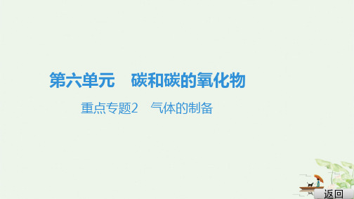 6重点专题2 气体的制备 PPT人教版九年级上册化学