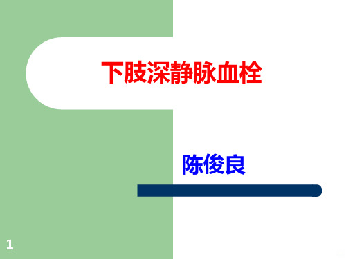 下肢深静脉血栓PPT课件