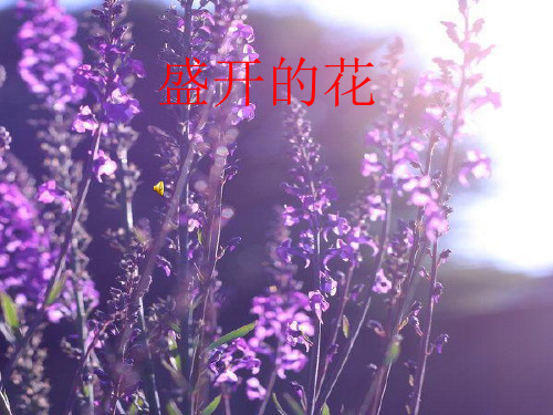 (优)轻扣诗歌的大门PPT资料