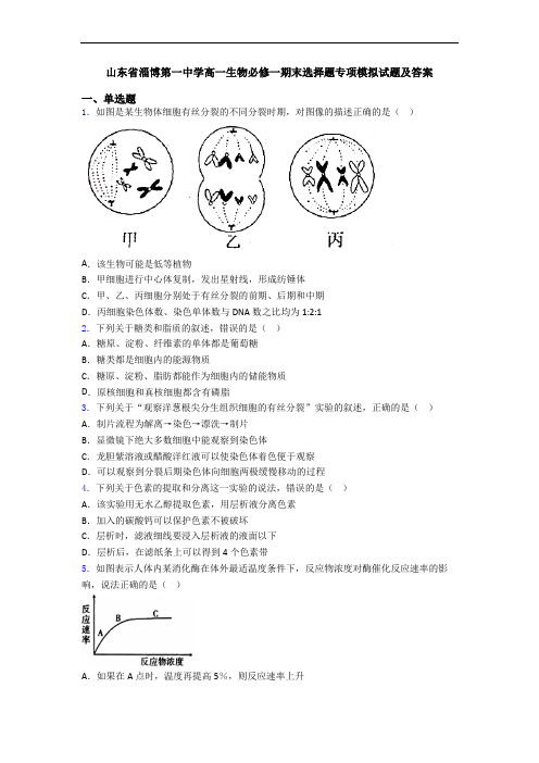 山东省淄博第一中学高一生物必修一期末选择题专项模拟试题及答案