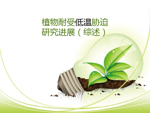植物耐受低温胁迫