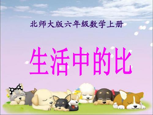 北师大版数学六年级上册《生活中的比》PPT课件