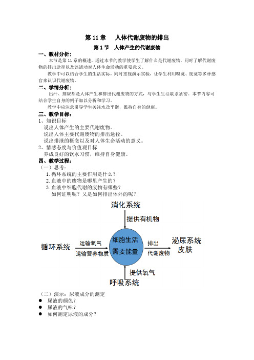 北师大版七年级生物下册《  第十一章 人体代谢废物的排出  第1节 人体产生的代谢废物》公开课教案_5