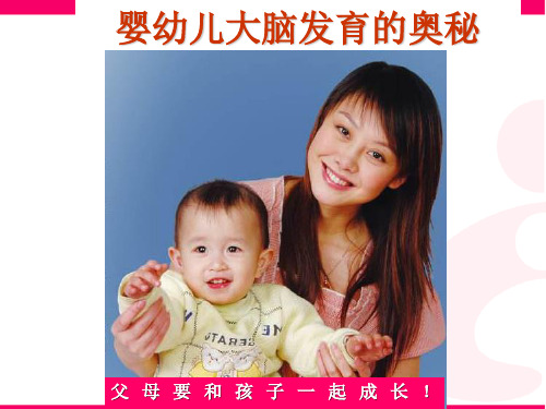 宝宝 D H A大脑发育ppt课件