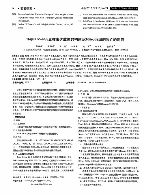 1b型HCV-NS3真核表达载体的构建及对HepG2细胞凋亡的影响
