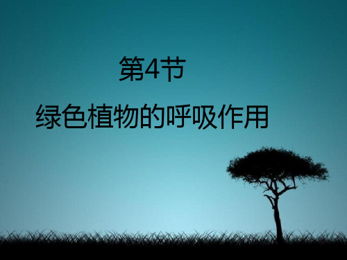 七年级生物上册2.1.4《绿色植物的呼吸作用》课件(新版)济南版