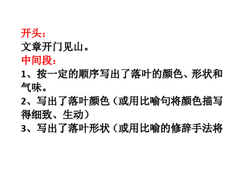 《落叶》作文评语
