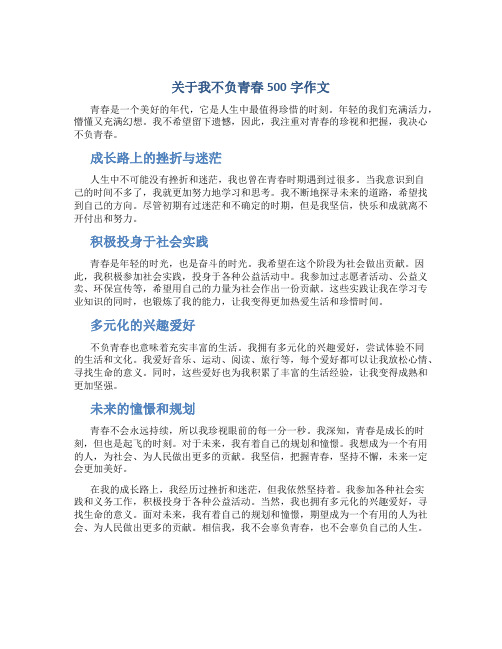 关于我不负青春500字作文