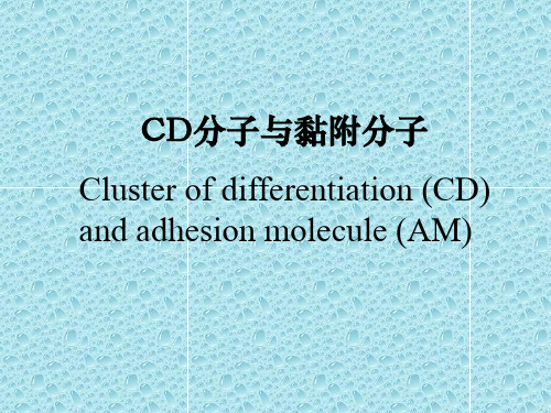第七章__黏附分子
