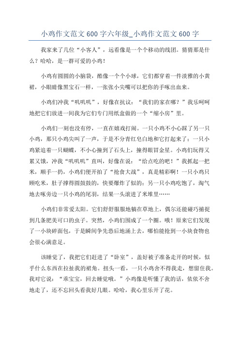 小鸡作文范文600字六年级_小鸡作文范文600字