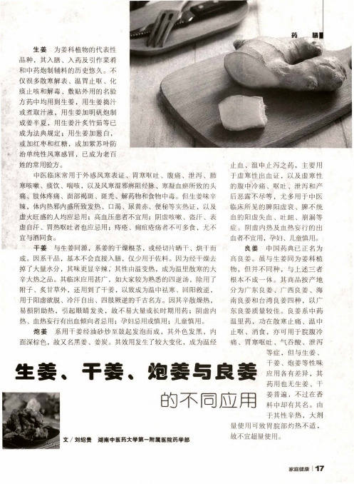 生姜、干姜、炮姜与良姜的不同应用