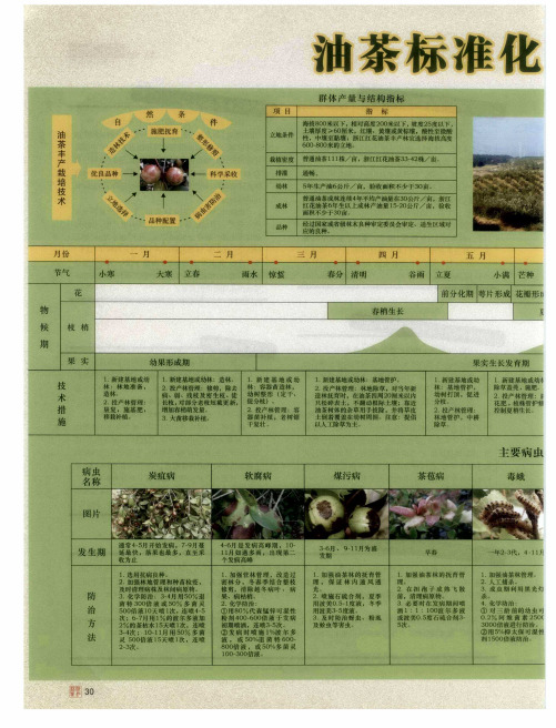 油茶标准化生产模式图