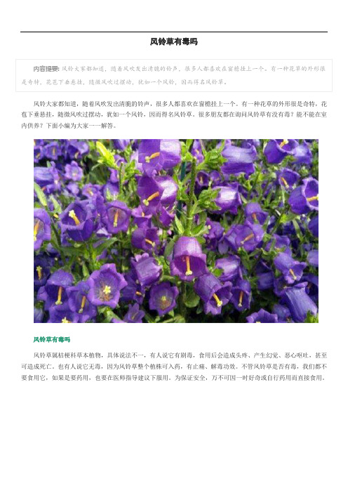 风铃草有毒吗